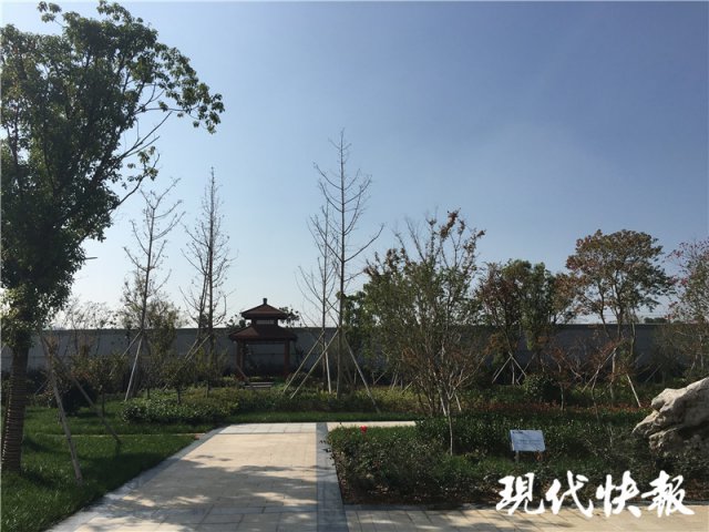 04.jpg